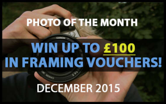 Best4Frames - Photo of the Month Competition: December 2015