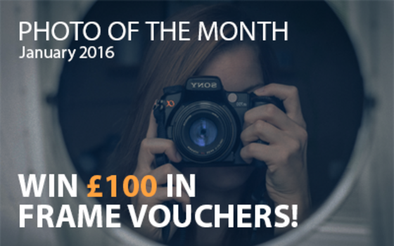 Best4Frames - Photo of the Month Competition: January 2016
