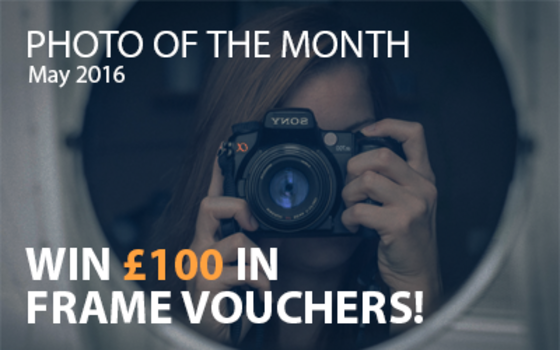 Best4Frames - Photo of the Month Competition: May 2016