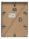 nielsen alpha polished silver frame back