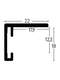 Nielsen Star Wall Mirror Silver 70x170cm profile-