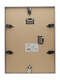 Nielsen Pixel Frosted Silver back