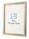pale gold picture frame