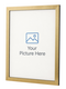 scratched gold picture frame main png